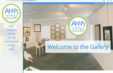 Ann's Monroe St Art Gallery — Arts Website by Zucker and Zucker